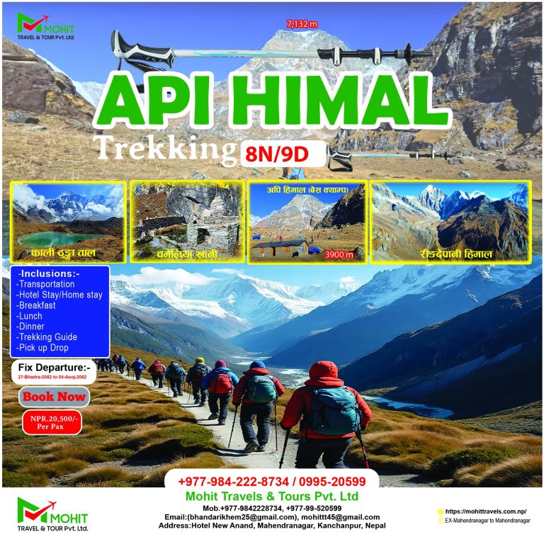 API Base Camp Trek